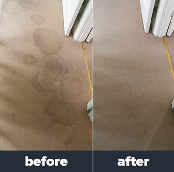 About Us Magic Touch Carpet and Tiles Cleaning Wollongong