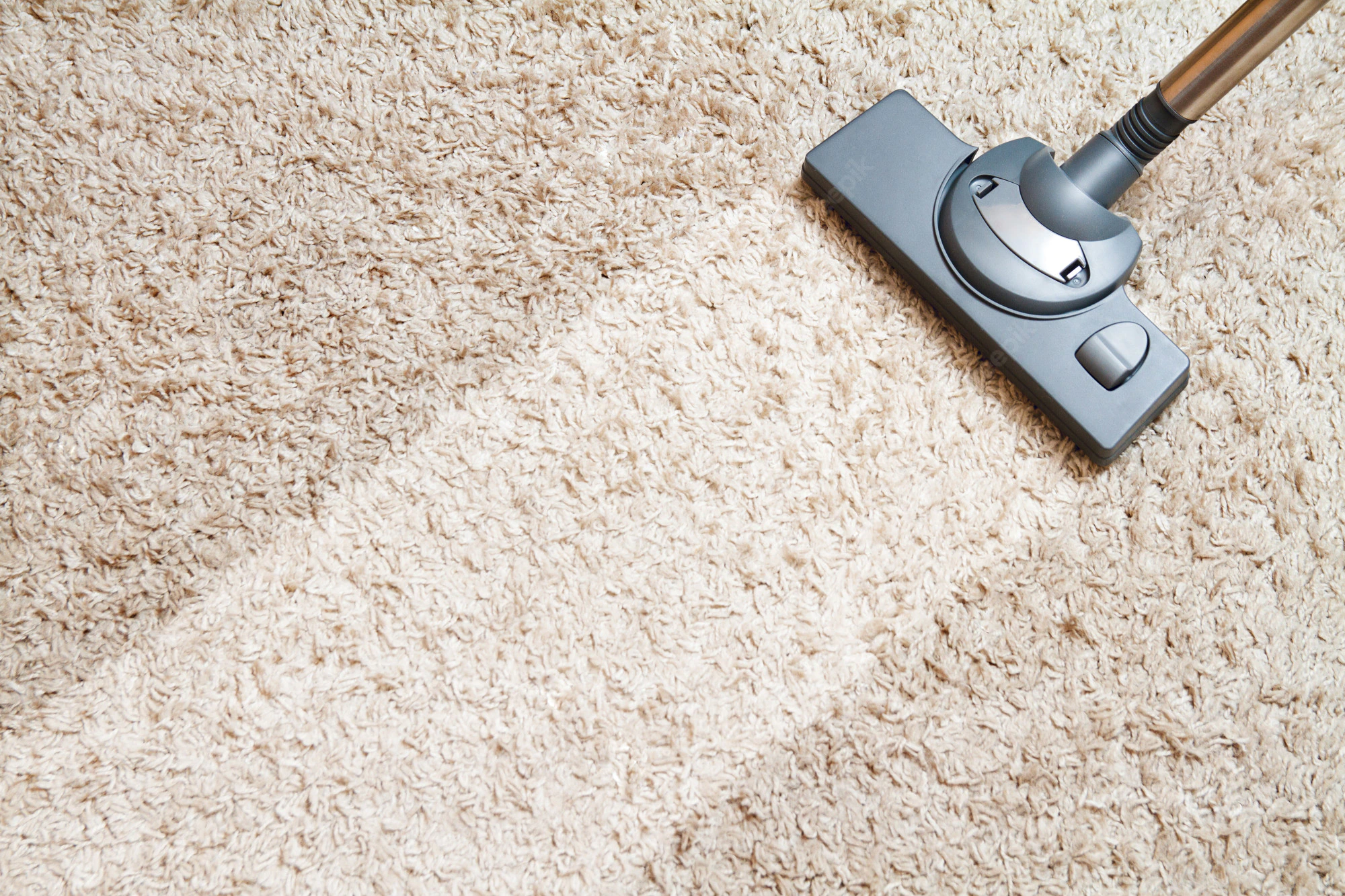 carpet and tile cleaning services