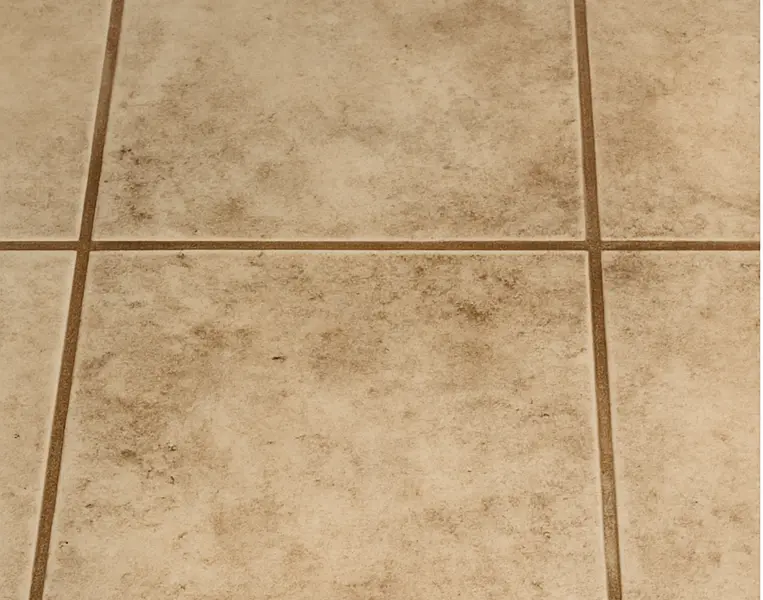 Professional Tile Cleaning Services Wollongong Before Professional Tile Cleaning Services Wollongong Before