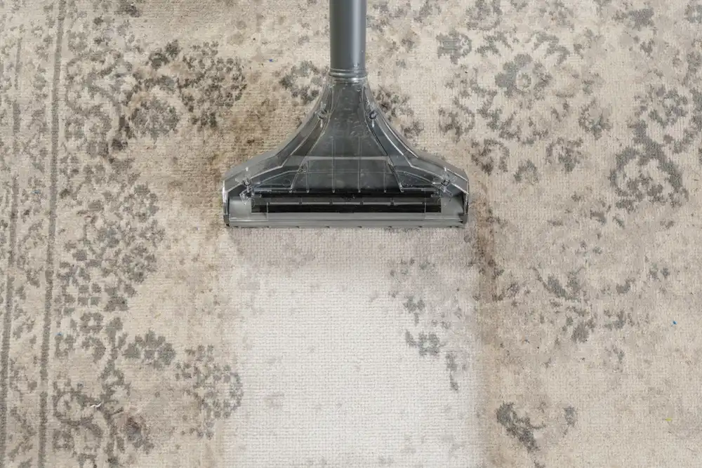 Professional Cleaning Services for Homes & Offices
