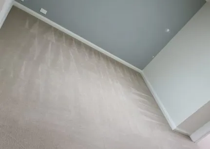 carpet cleaning