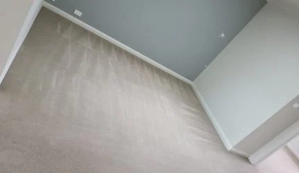 Professional Carpet Cleaning Services in Wollongong Professional Carpet Cleaning Services in Wollongong